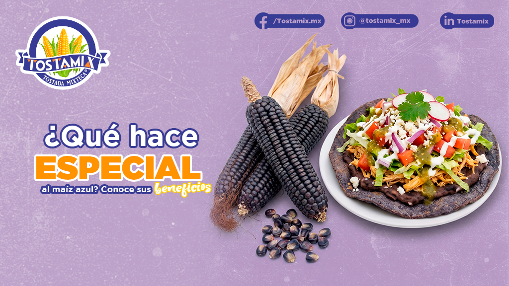 ¿Qué hace especial al maíz azul? Conoce sus beneficios